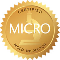 Mold Inspection NJ