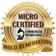 Mold Remediation Fords NJ, New Jersey