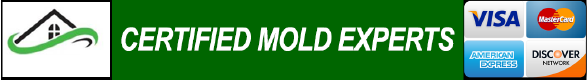 Basement Mold Removal Kitchen Mold Inspection Attic Mold Remediation Chester NJ 07930 Bathroom Mold Testing Closet