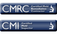 Glen Ridge NJ 07028 Basement Black Mold Removal Attic Mold Remediation 07028 Mold Testing Mold Inspection Kitchen