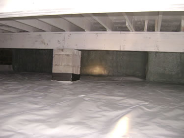 Kitchen Mold Removal Testing Remediation Inspection Companies Allamuchy Rockaway Deal Bayonne Towaco NJ Basement