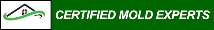 Basement Mold Removal Testing Remediation Inspection Ridgefield Park Ridgewood Tenafly Manville NJ Attic