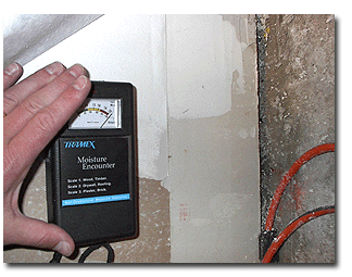 Bathroom Mold Removal Companies Testing Remediation Inspection Monmouth County NJ Middlesex Burlington Kitchen