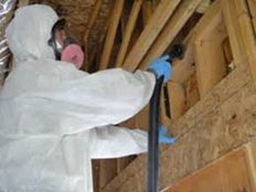  Attic Mold Removal Rutherford NJ Mold Kitchen Remediation 07070 Bathroom Mold Removal Basement Mold Inspection 