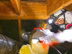 Basement Bathroom Mold Inspection Bayonne NJ 07702 Mold Removal  Mold Removal Bayonne NJ Mold Remediation 07702