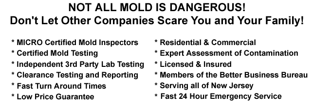 Basement Closet Attic 08048 Mold Testing Lumberton NJ Mold Inspection 08048 Mold Removal Lumberton NJ Mold Remediation 08048